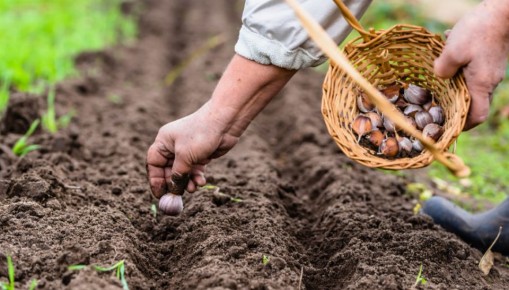 ��� ��������� ������ ������ ������: ������� ��������� ������