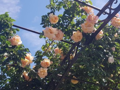 ������� ���: ����� ������ ����� ��� ������ ����