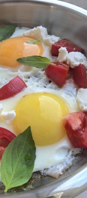 �������� ������: ������� � ����������, ������� �������� ��� ���� ������