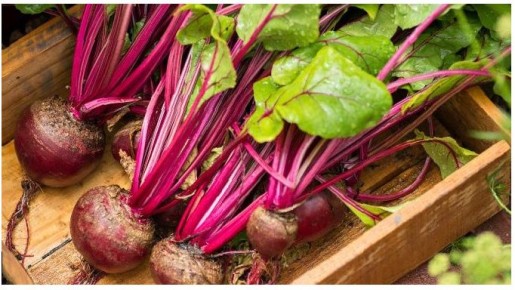 ������ ������ ������: ��� �������� ���������������� ��������� � ��������� ������