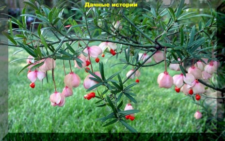 �������� ���������� ��� �������� ������� ������ ����