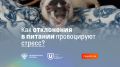 Как неправильное питание вызывает стресс: откровения учёных