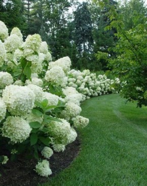 �������� ������� ��������� ��������� ��� ������� ��������