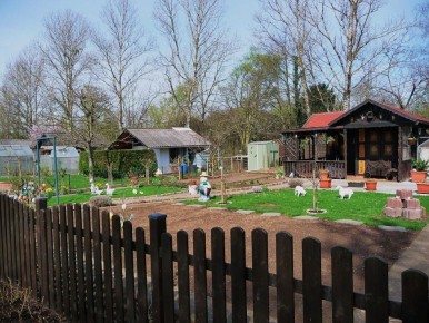 ��� �� ����� ������� ������ ��� �� ����: ������ ������ ��� �����������