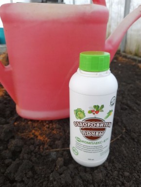 ���� �������� ������� � ����: ��� ������������ ������������ ��� �������� �����