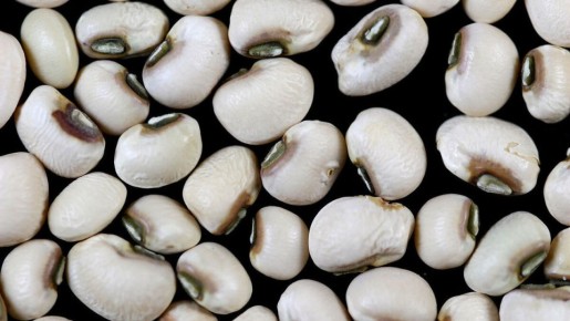 ������: �������� ������� ��� ������������� ������ ��� ��������?