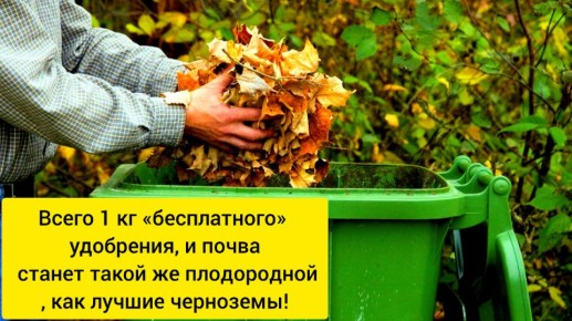 ��� ������� ������ ����� ���������� ��� ��� � �����: ���������� ��������� ��������