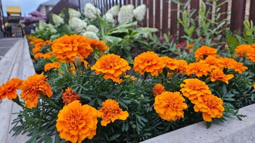 ��������� ���� ���� � �����������: 7 ������ ��� ����������