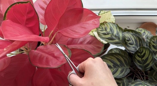 �������� ����������: ��� ��������� �������� ��������� ��������