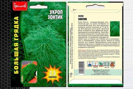 ����� ������: �������� ����������� � ������� ����������� ����� �����