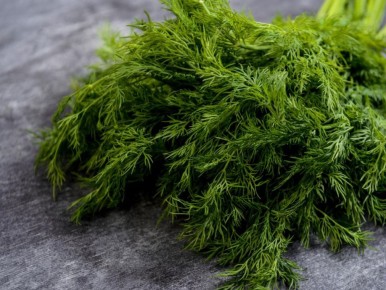 ��� ��������� ��������� �����: ������� �� ����� ������