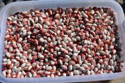 Огромный выбор овощей и фруктов, богатых железом для борьбы с анемией