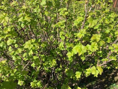 ������ �� ������������: ��� ������ ����� ��������� ��� ������ ������