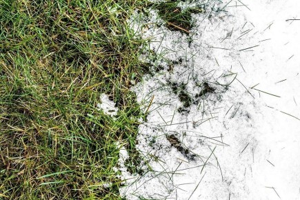 Весенний уход за газоном: 7 шагов к идеальному травяному покрытию