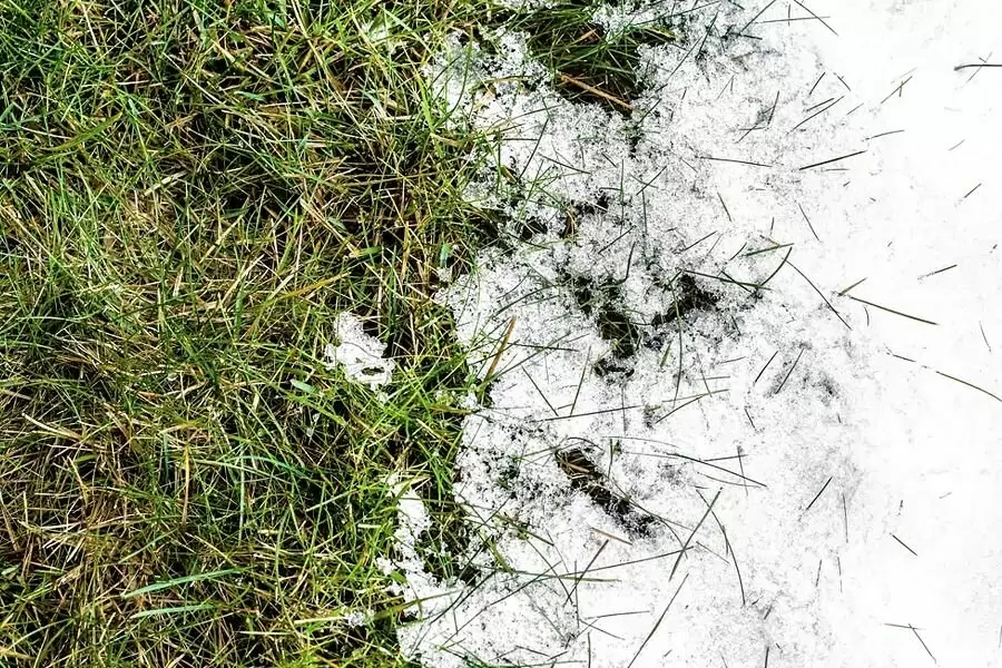 Весенний уход за газоном: 7 шагов к идеальному травяному покрытию