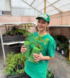 ���� ��� �����: 3 ����� ��� ������ ����, ������� ������ ���� ������� ���������