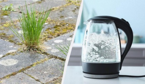 ��� ����� ���������� �� �������� ����� �������: ������� �������