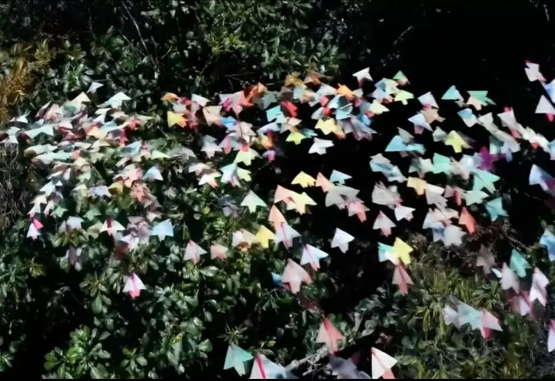 Цукерберг анонсирует новые ИИ-модели: Mango и Avocado в ожидании