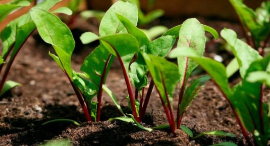 ������� ��������� ����� �� �������� ������ � ����