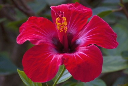 �������� ��������� �������� ��� ������ ����