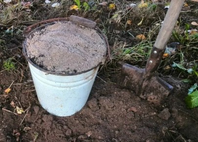 ����� �� ��� �������� ����� ����: ������������ ������ �����������