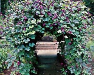 ����������� ����: ������� ��������� ����������� � �����