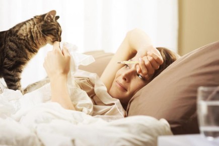 ��� ����� ���������� �������: ������������ ������� � ������� ������