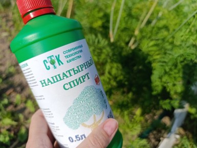 ��� �������� ����� ����� ����������� ���������� � ����� ����