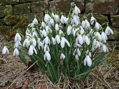 �����������: �� ����� �� ��������� � ��� ����� ����� � �������� �����