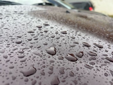 ������� ����� �� ������������ ��������� ����� �� �����