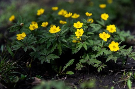 ������ ����� ������! ������ ����� ��������� �������� ��� ��������� ����