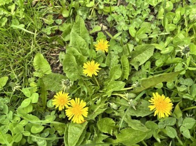 �� ���������� ���� � ������ ����������� ������ �� ����������������� � ����������� ���������� �����: