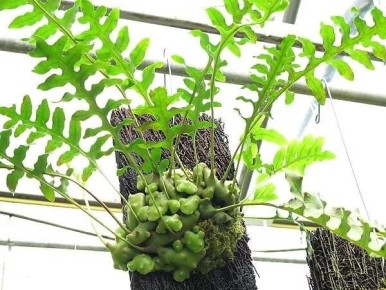 ������� � �������������: ��������� �������������� � ��������