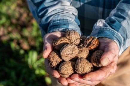 ������� ��������� ����� ������ �������� �����