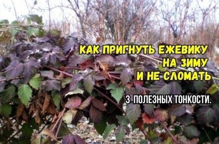 ������� ��������� ������� ������� �� ����: ������� ������ �� ������� ���������