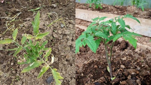 ��� �������� ������� �� ��� ������: ������� �������� �������