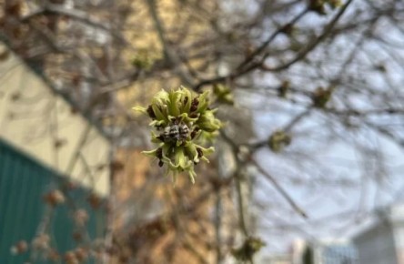 � �������� ��������� �������� ������, ��-�� ����� ����������� ���������� � �������� ������