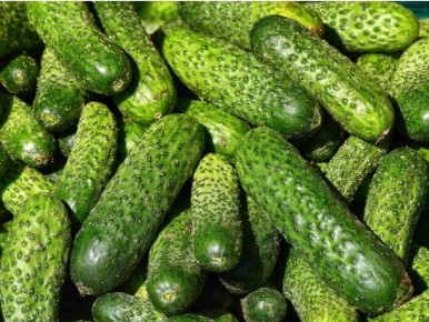 ��� ���������� ��������� ������ �� ����: ������� ��������� �������