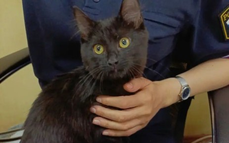 � �������� �������� ������ � ������������ ��������-������������ ������ ������� ��������� ��������