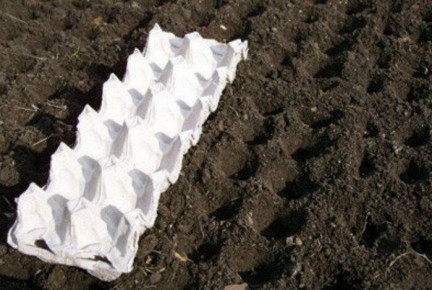 ����������� ������ ���������� ������ ������ �� ����