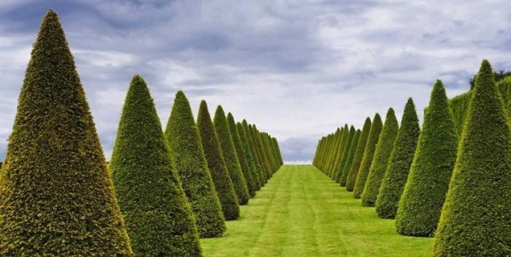 ������ ��� ���������� ��������� ������������ �������