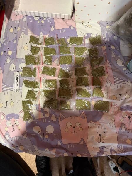 В Мордовии к 3 годам лишения свободы условно приговорена жительница Саранска, в квартире которой оперативники УНК республиканского МВД изъяли почти полкилограмма марихуаны В Мордовии к 3 годам лишения свободы условно приговорена жительница Саранска, в квартире которой оперативники УНК республиканского МВД изъяли почти полкилограмма марихуаны