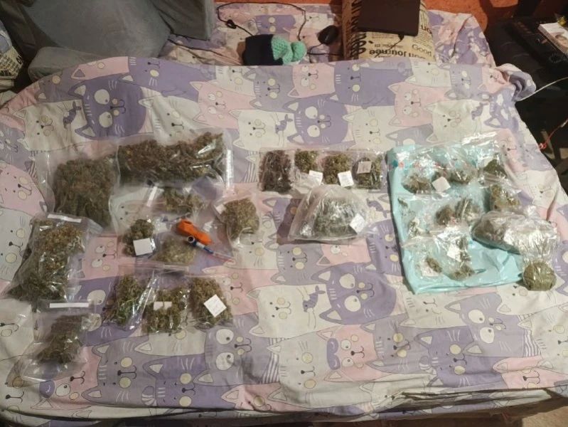 В Мордовии к 3 годам лишения свободы условно приговорена жительница Саранска, в квартире которой оперативники УНК республиканского МВД изъяли почти полкилограмма марихуаны В Мордовии к 3 годам лишения свободы условно приговорена жительница Саранска, в квартире которой оперативники УНК республиканского МВД изъяли почти полкилограмма марихуаны