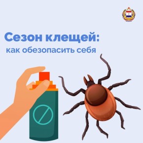 Осторожно, клещи!. С наступлением тепла активизируются клещи – переносчики опасных заболеваний