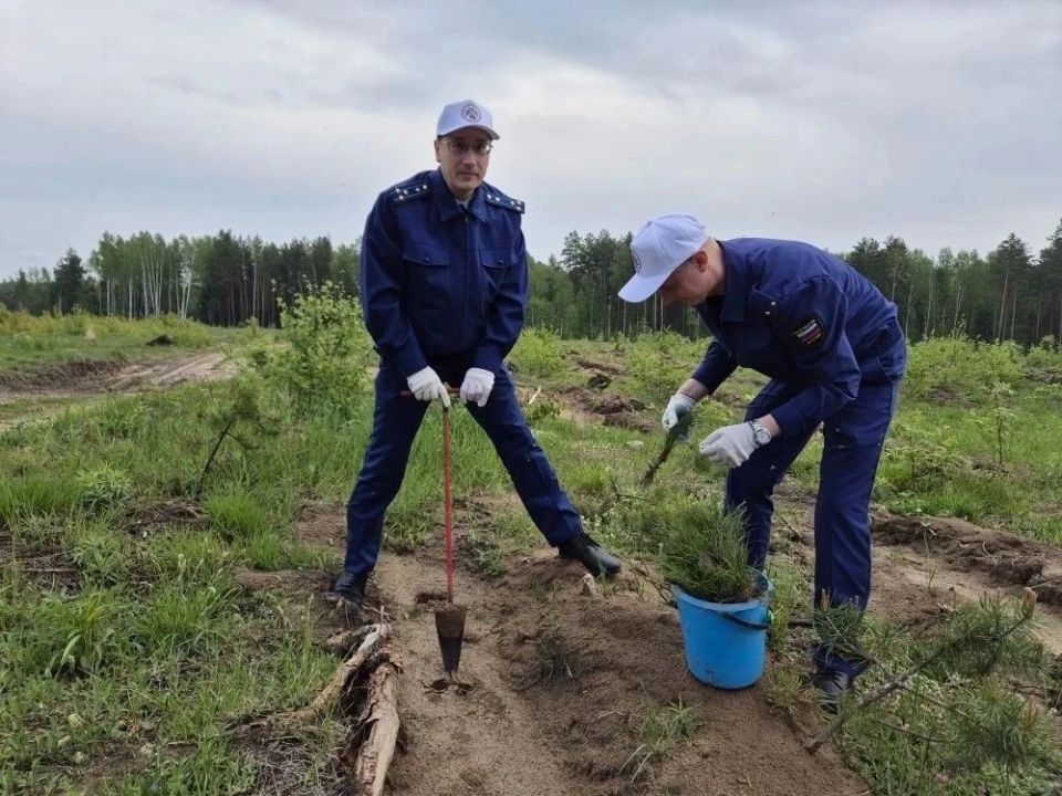 Коллектив прокуратуры Зубово-Полянского района принял участие в Международной акции «Сад памяти» Коллектив прокуратуры Зубово-Полянского района принял участие в Международной акции «Сад памяти»