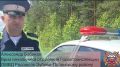 Сегодня в 6 часов утра смертельное ДТП произошло в Зубово-Полянском районе