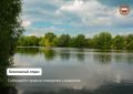 Лето у воды: простые правила безопасности