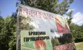 В Мордовии с 12 июня введен запрет на посещение лесов