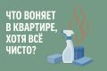 Тайные источники неприятных запахов: проверьте эти 8 мест в вашем доме
