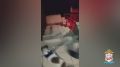 � �������� ���������� ������� ��������� ������������ ������-���� �� ����� �������